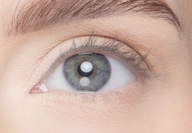 Close-up of an eye with short eyelashes