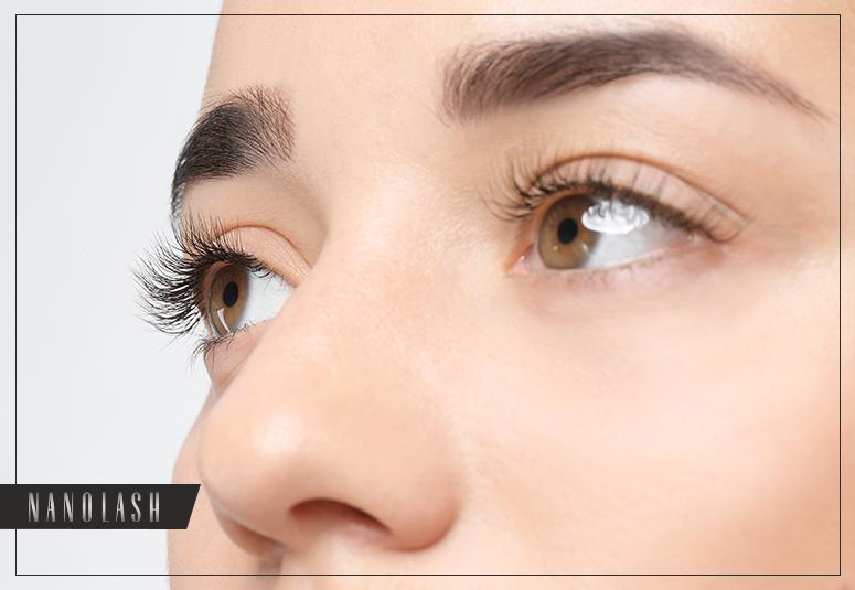 Eyelashes Explained. All You Should Know About Structure and Functions of Lashes to Take the Best Care of Them